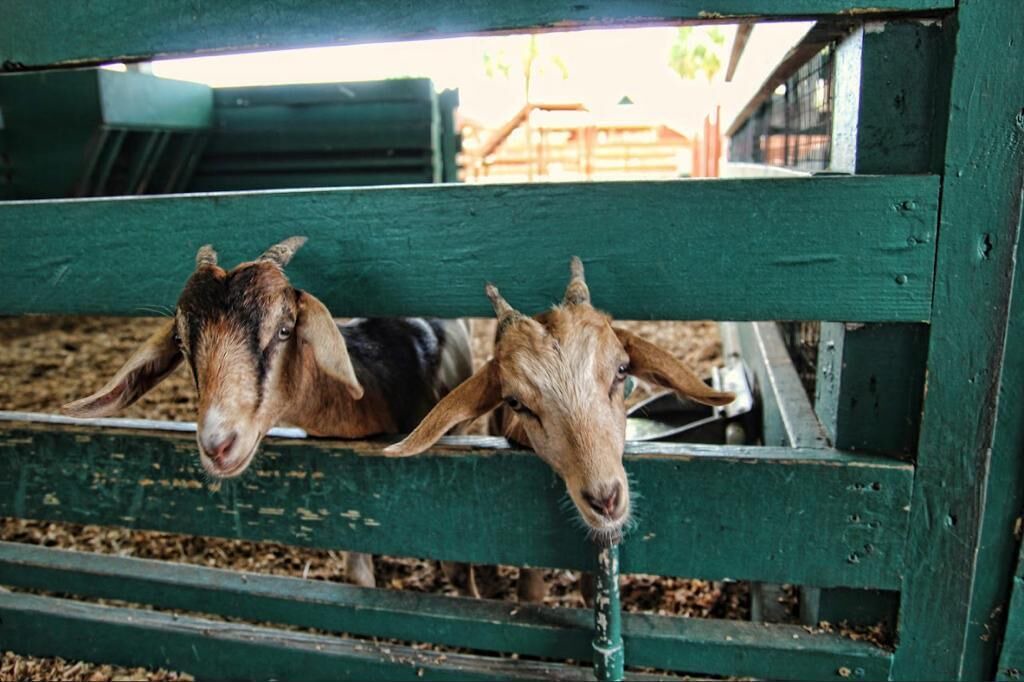 Photo of Others in River Ranch