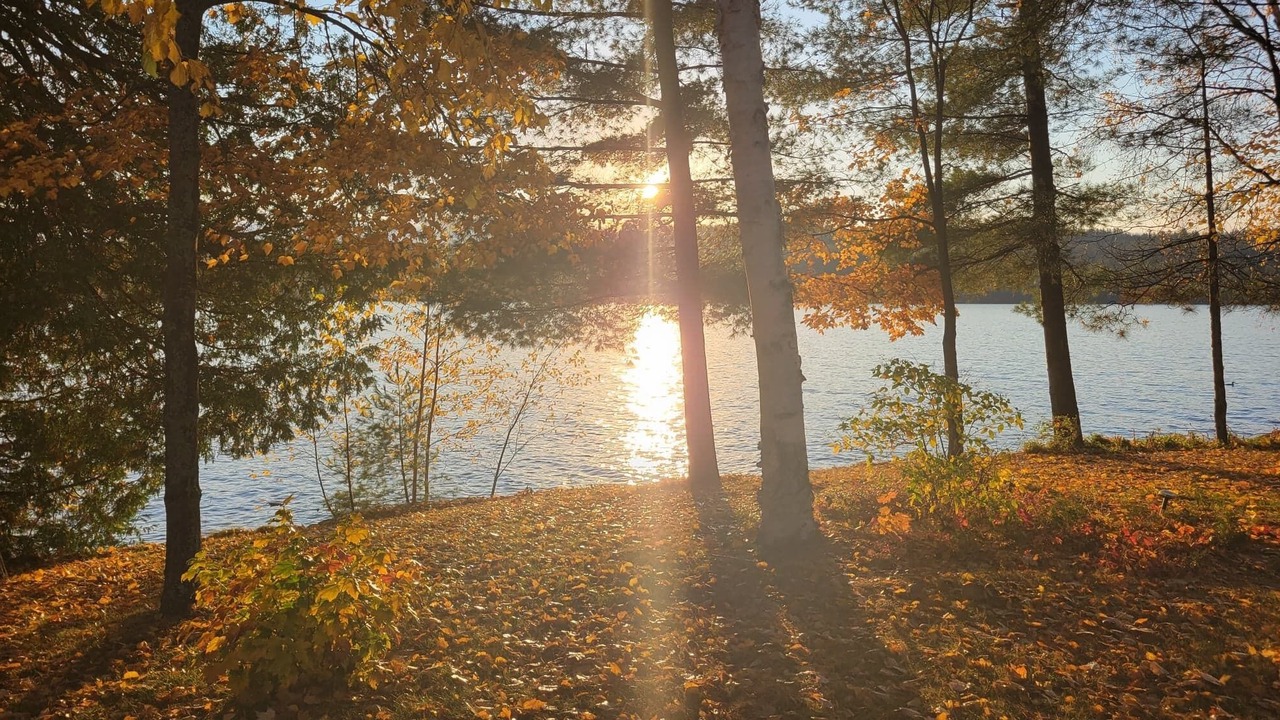 Photo of Outdoor in Timiskaming District