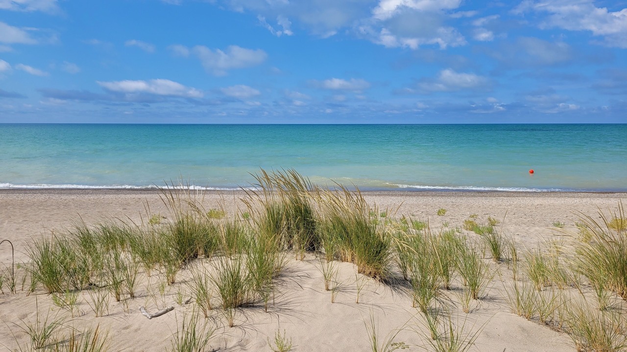 Photo of Others in Ashfield-Colborne-Wawanosh