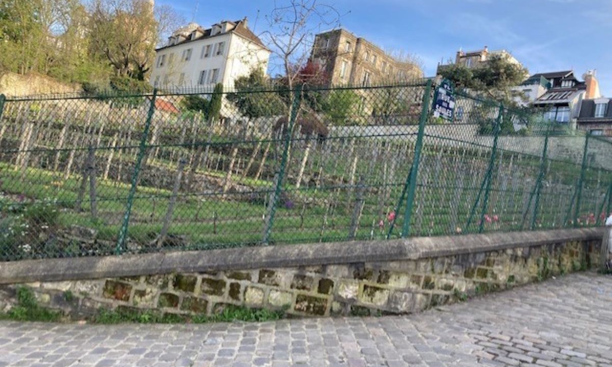 Photo of Others in Montmartre