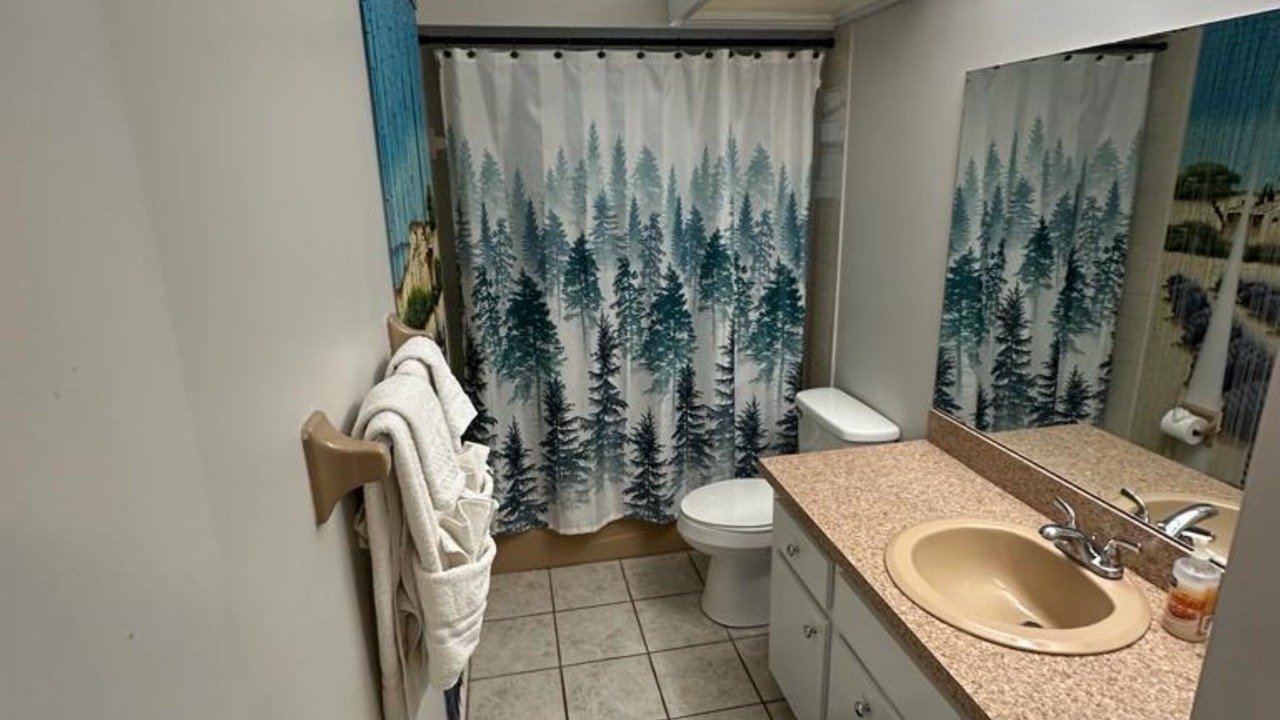 Photo of Bathroom in East County Civic Group
