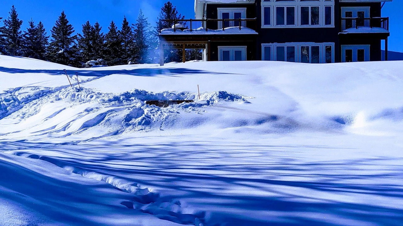 Photo of Others in McKellar