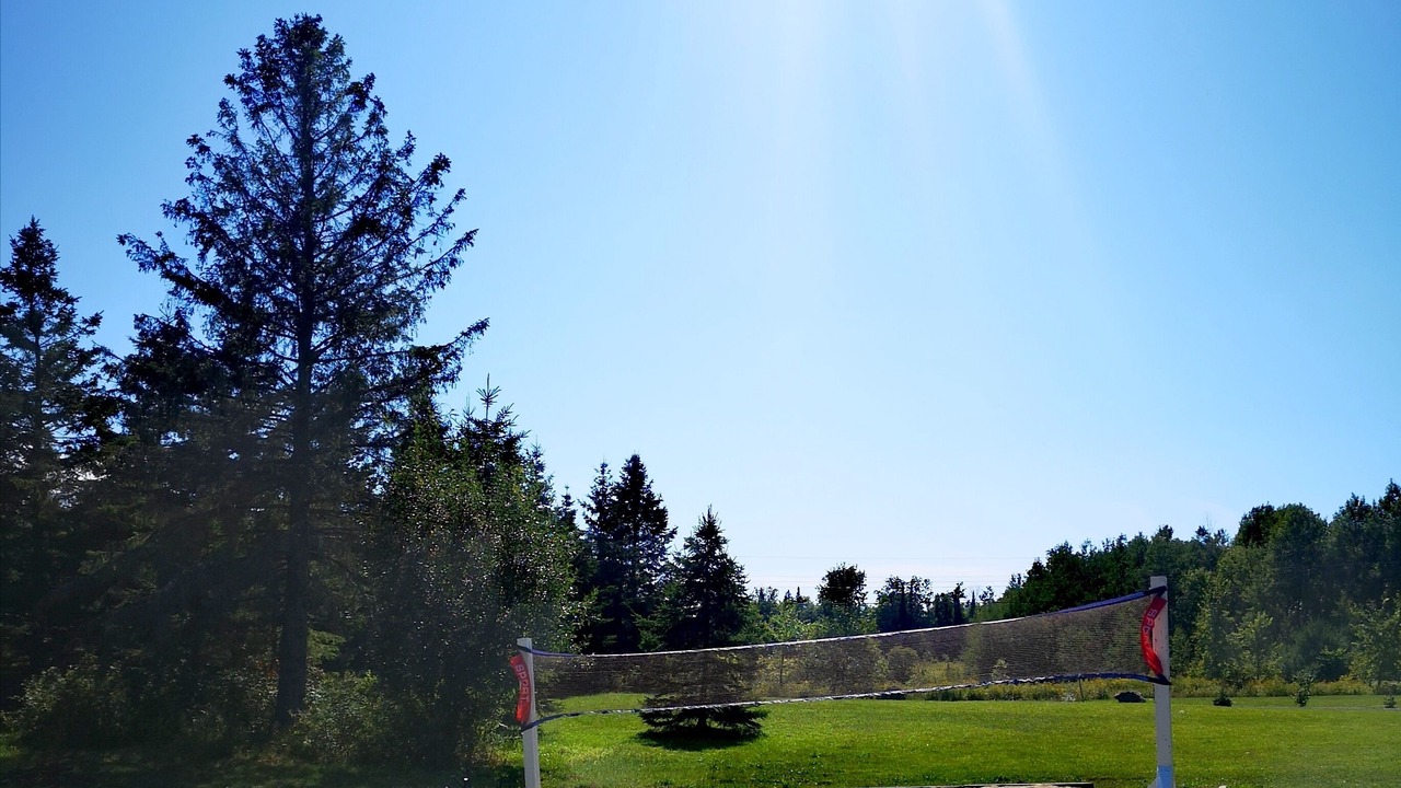 Photo of Others in McKellar