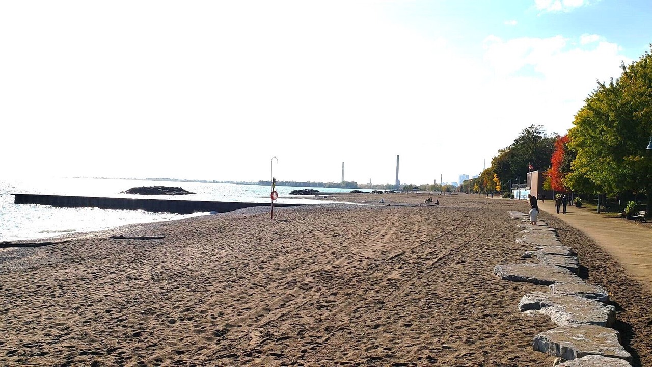 Photo of Others in The Beaches