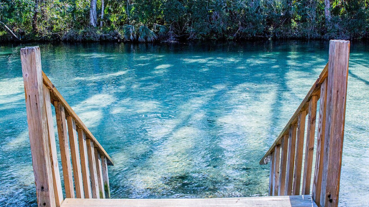 Photo of Others in Weeki Wachee Gardens