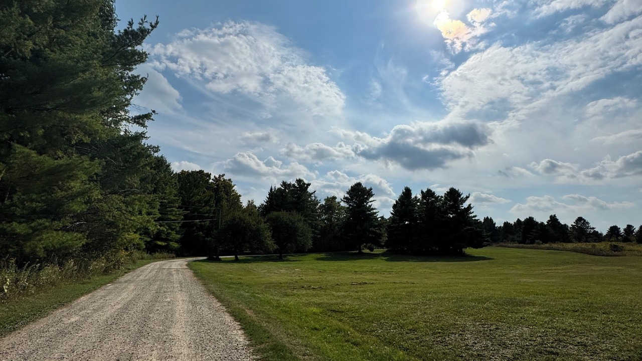 Photo of Others in Milton