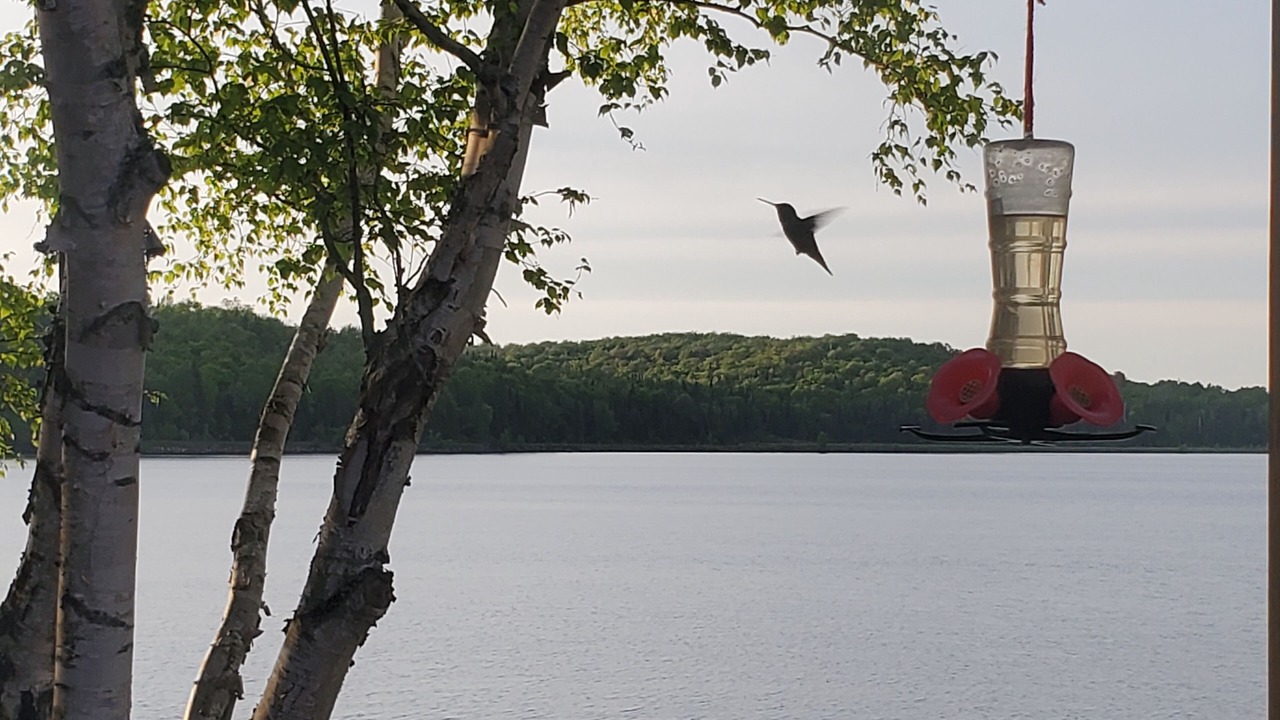 Photo of Others in South River