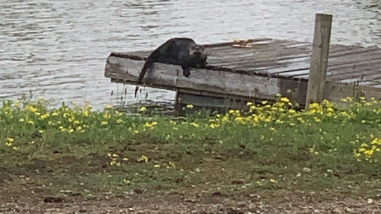 Photo of Others in Stokes Bay