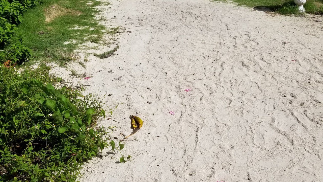 Photo of Others in Key Largo