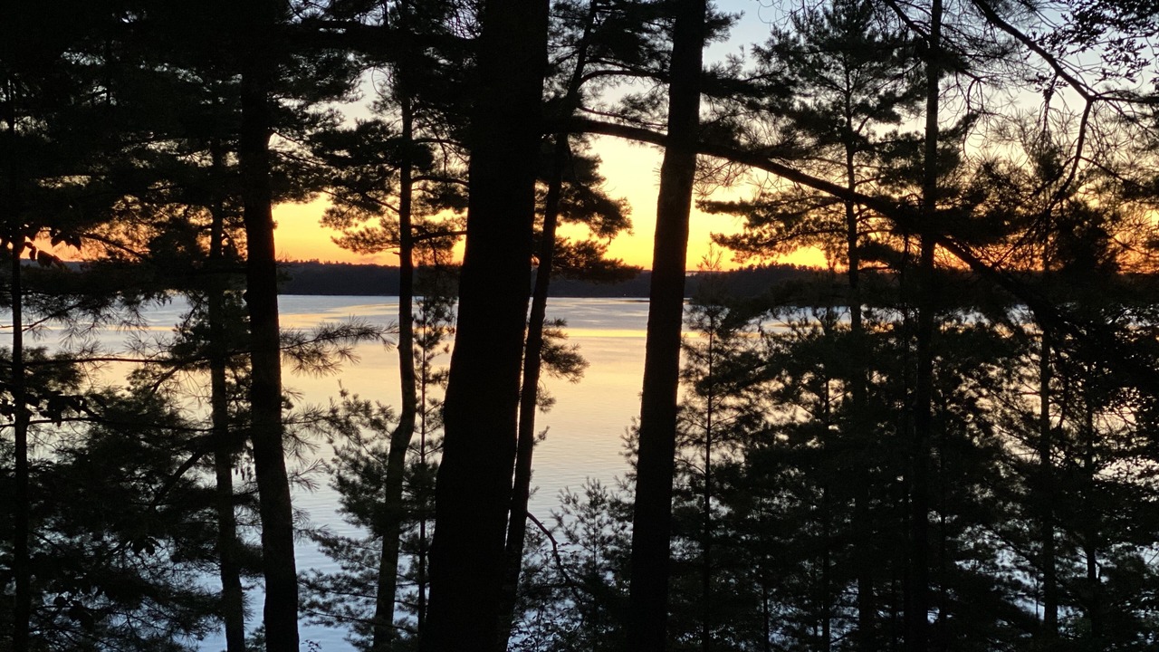 Photo of Others in Muskoka Lakes