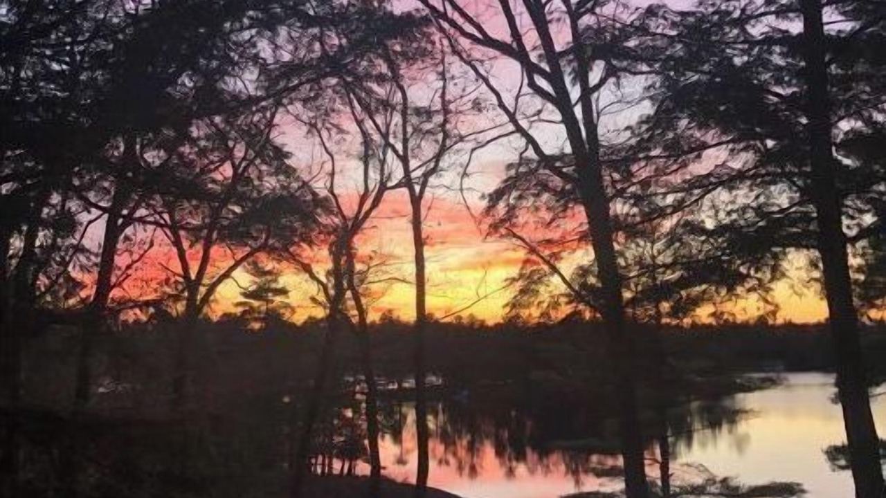 Photo of Outdoor in Muskoka Lakes