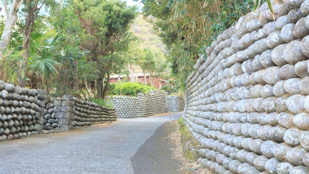Photo of Outdoor in Hachijo