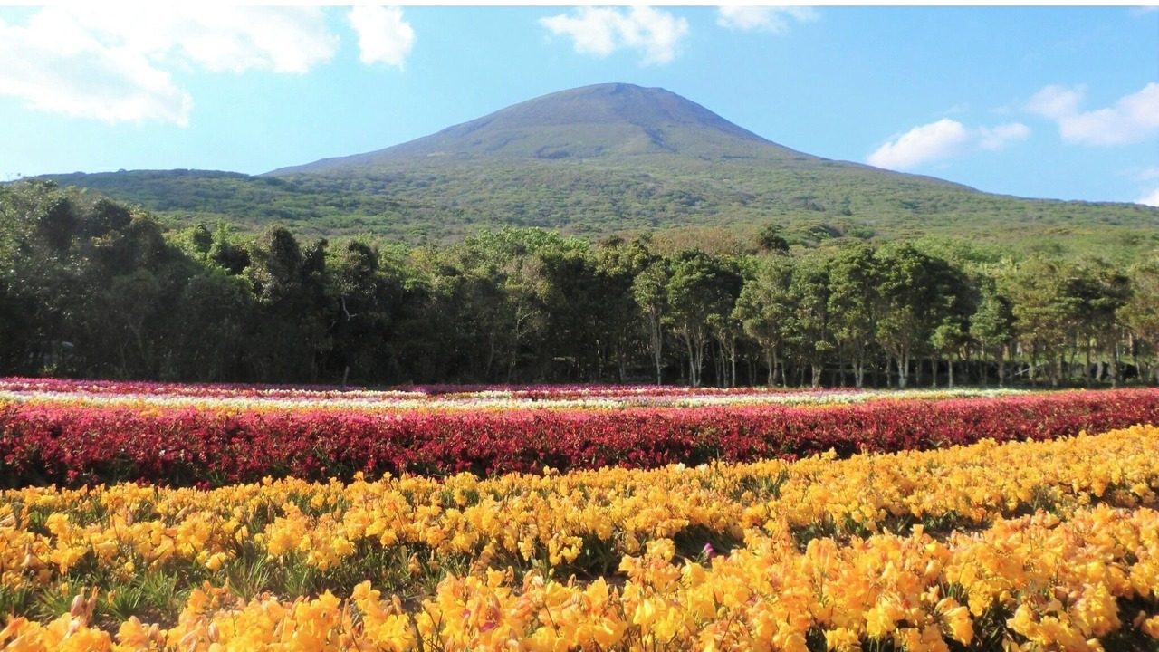 Photo of Outdoor in Hachijo