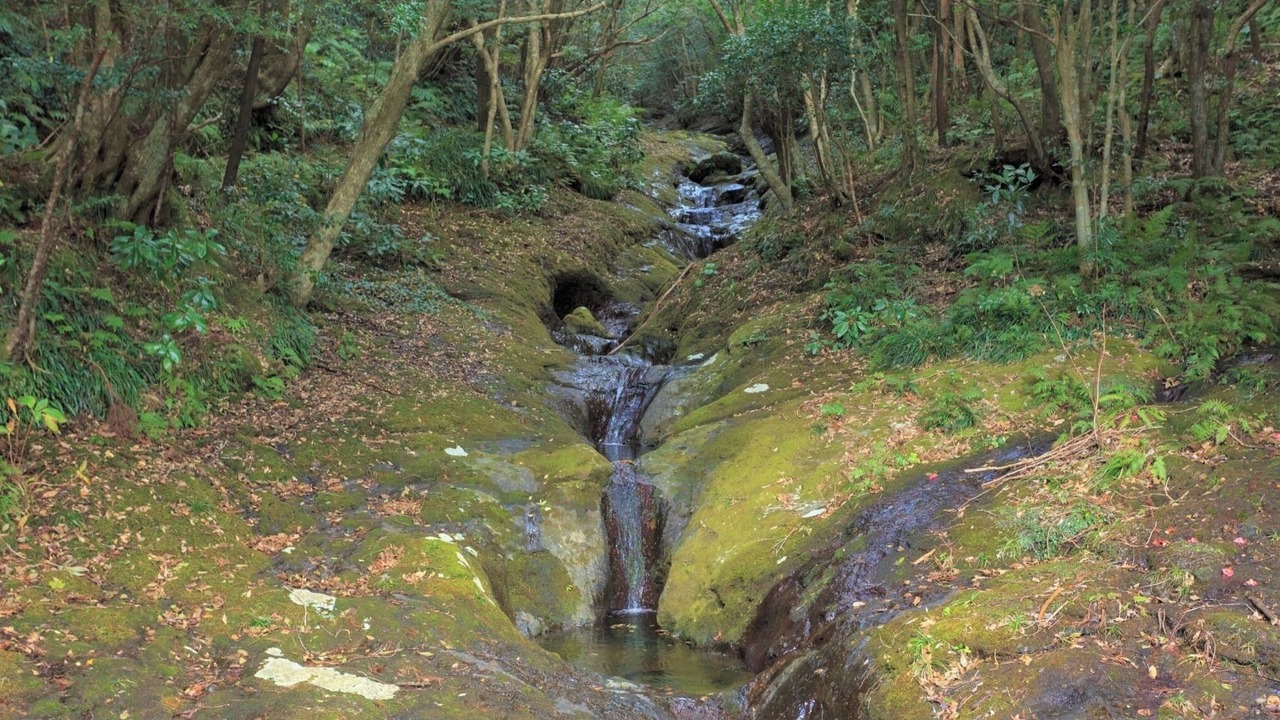 Photo of Others in Hachijo