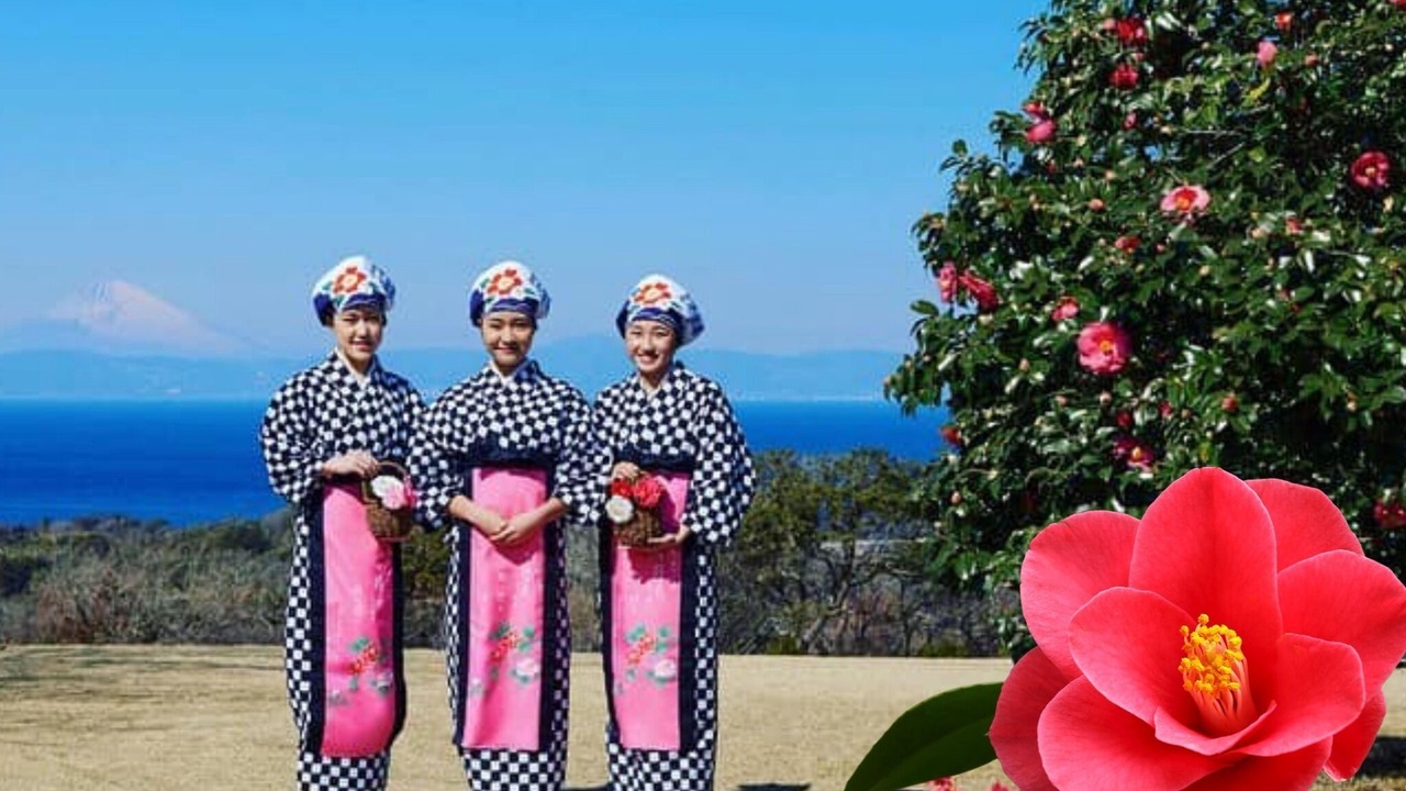 Photo of Outdoor in Oshima