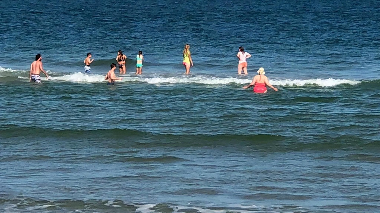 Photo of Others in Harvey Cedars
