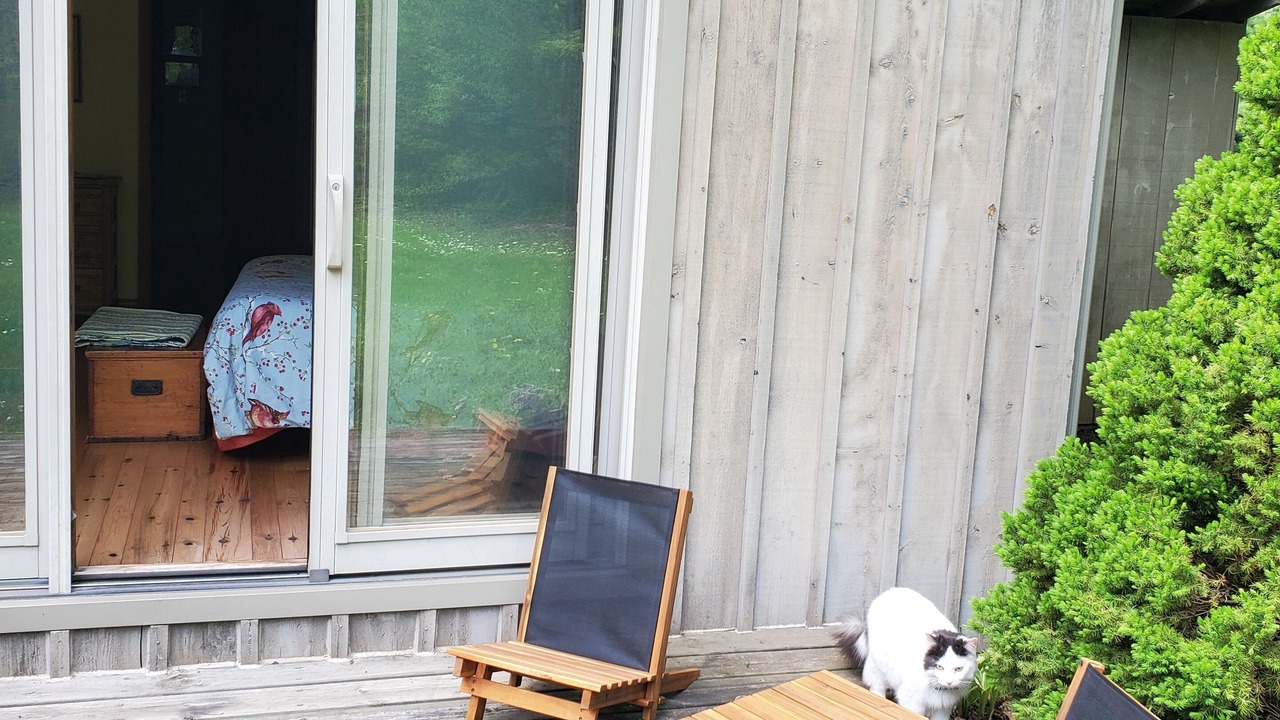 Photo of Patio Balcony in Creemore
