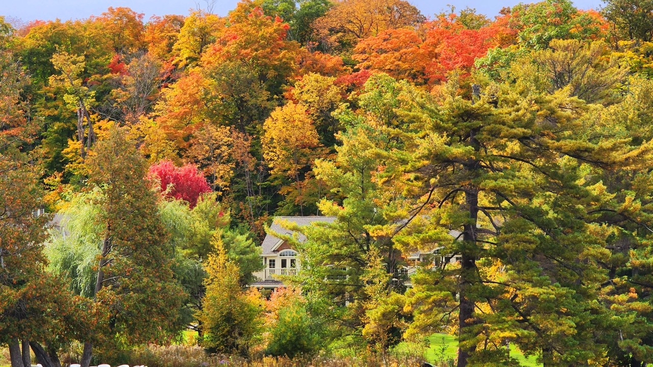 Photo of Outdoor in Port Carling
