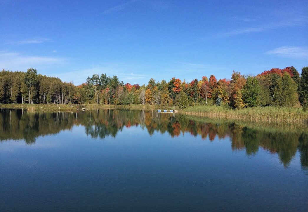 Photo of Others in West Grey