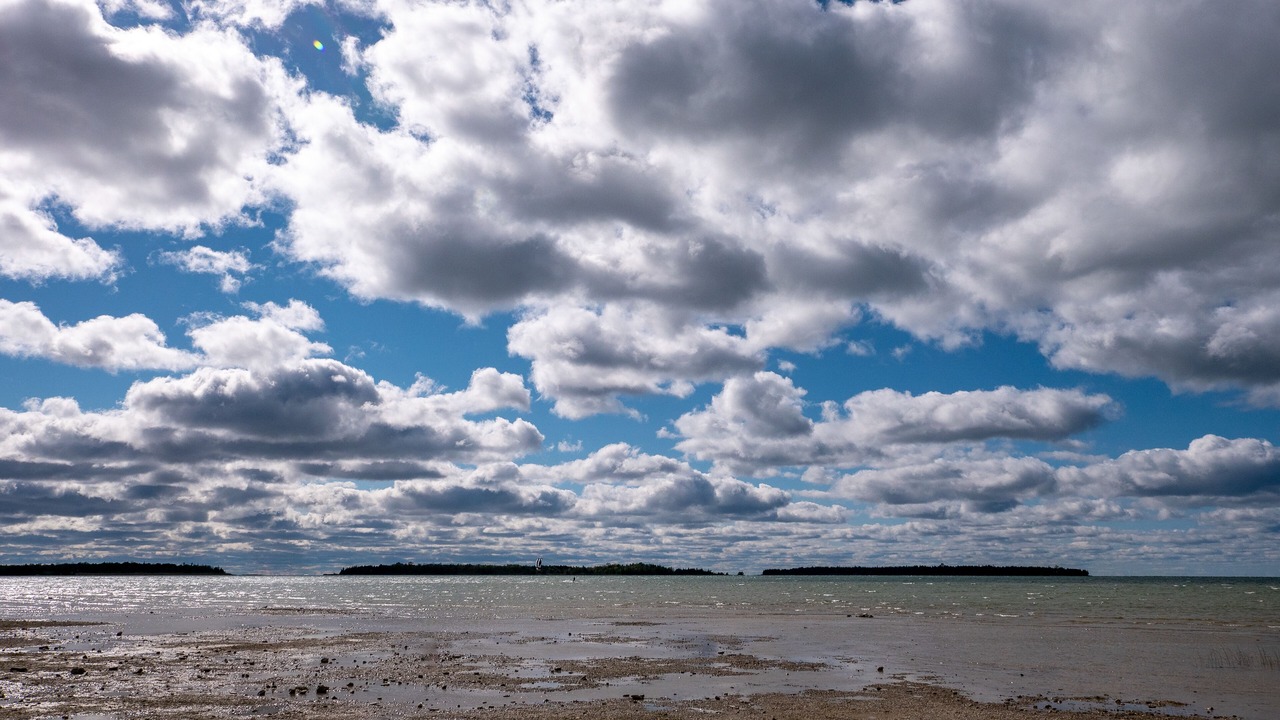 Photo of Others in South Bruce Peninsula