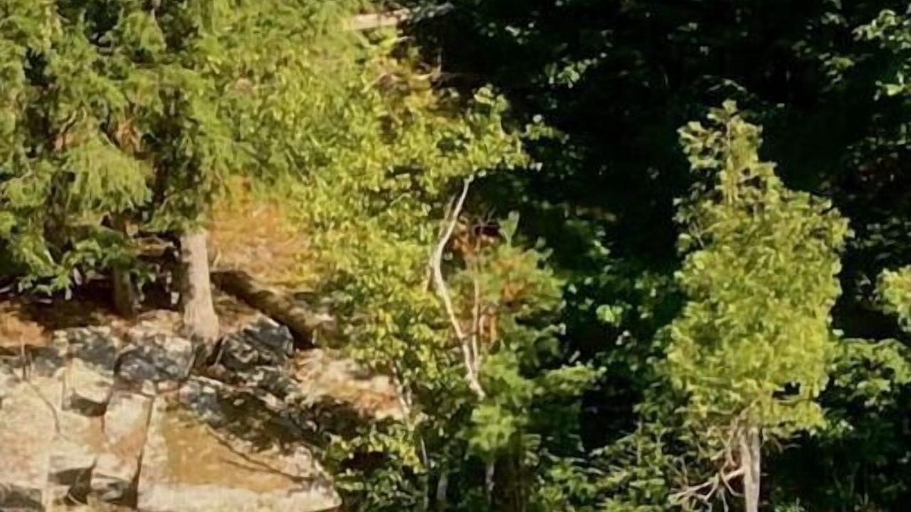Photo of Outdoor in Algoma District