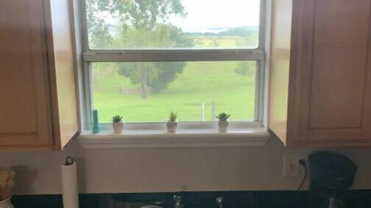 Photo of Kitchen in Winter Garden