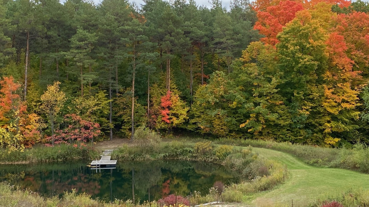 Photo of Outdoor in Mulmur
