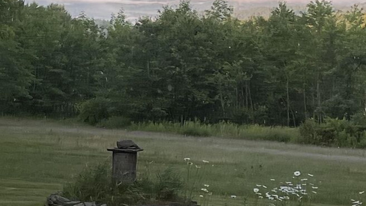 Photo of Others in Franklin