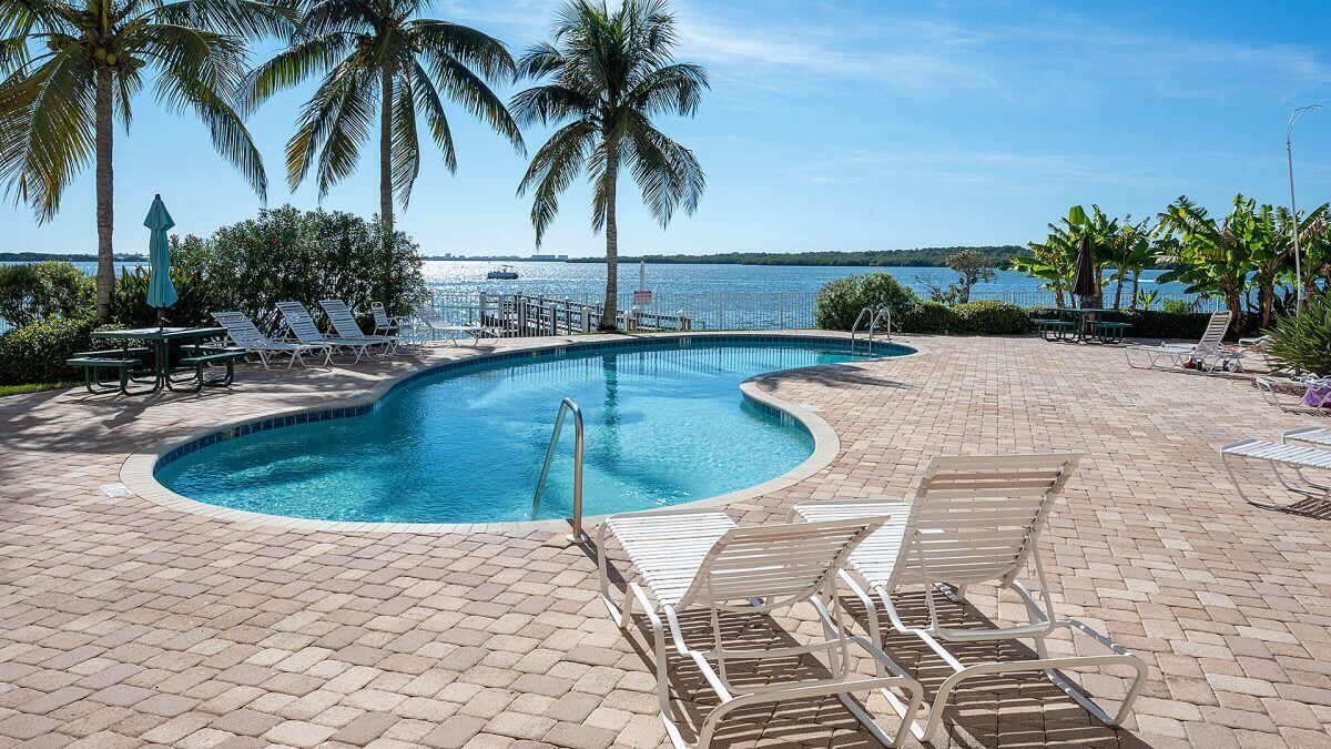 Photo of Outdoor in St. Petersburg - Clearwater