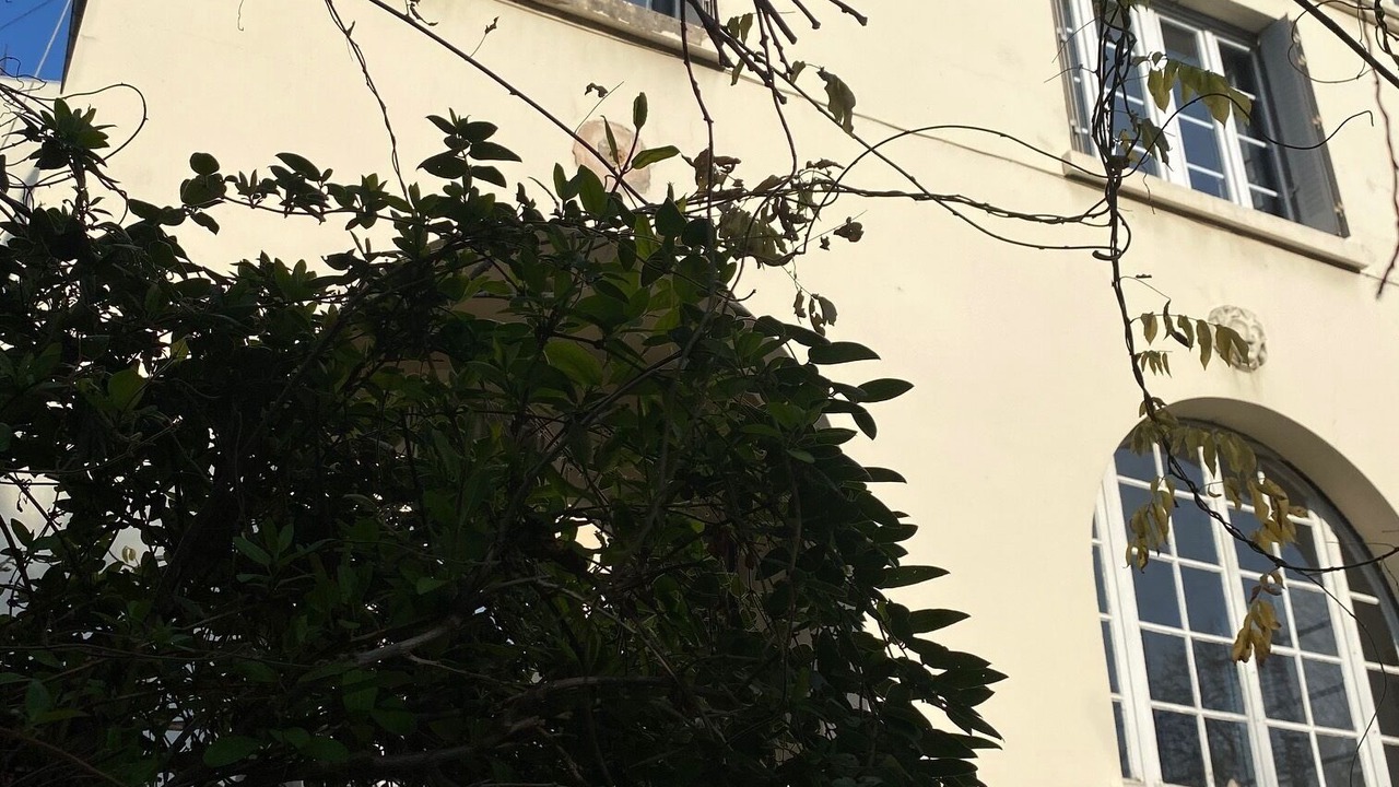 Photo of Outdoor in Quartier de Becon