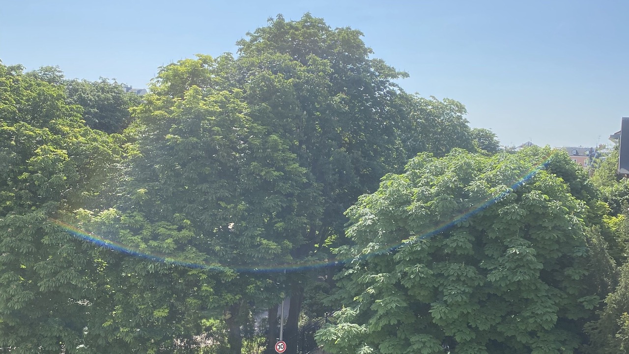 Photo of Outdoor in Quartier de Becon