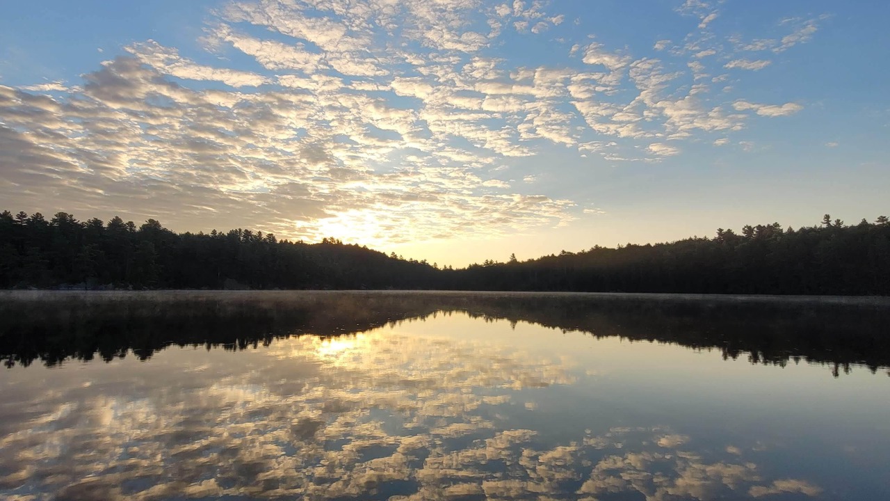 Photo of Others in Gravenhurst