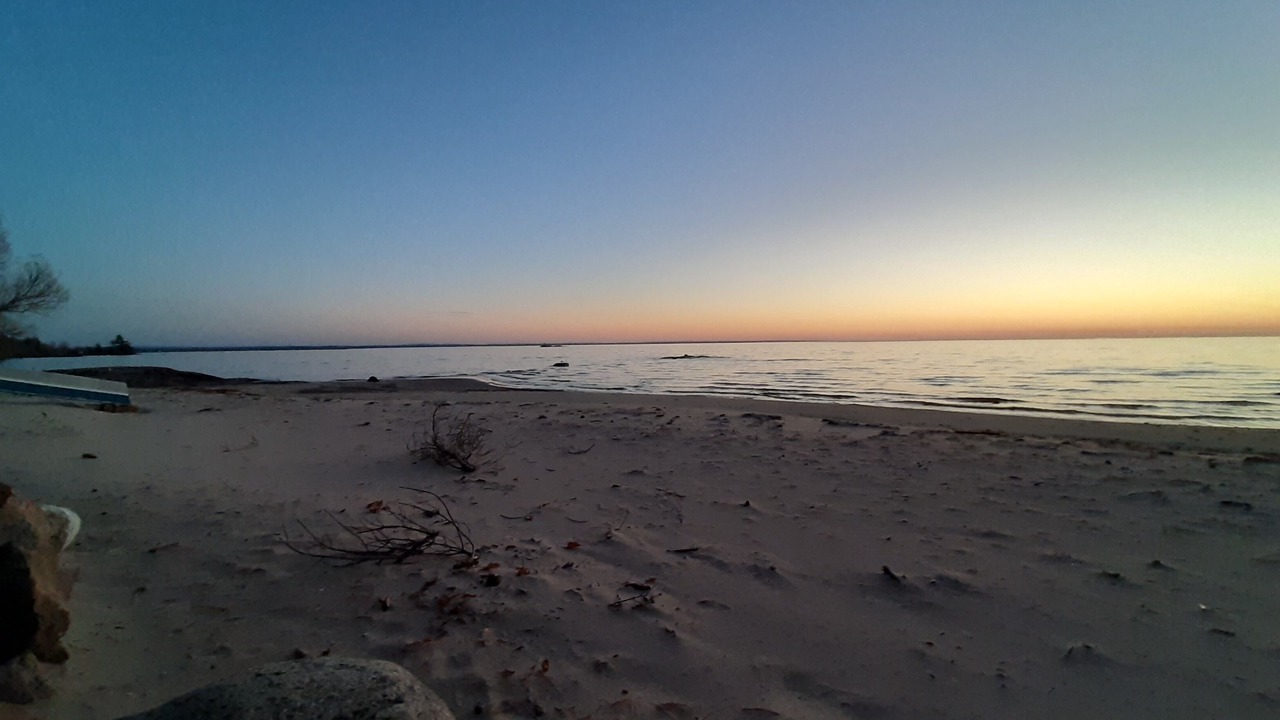 Photo of Others in North Bay