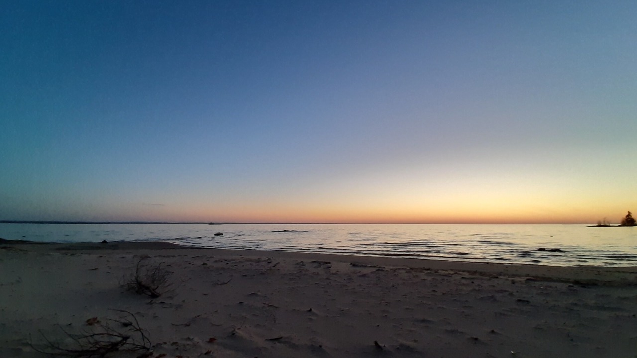 Photo of Others in North Bay