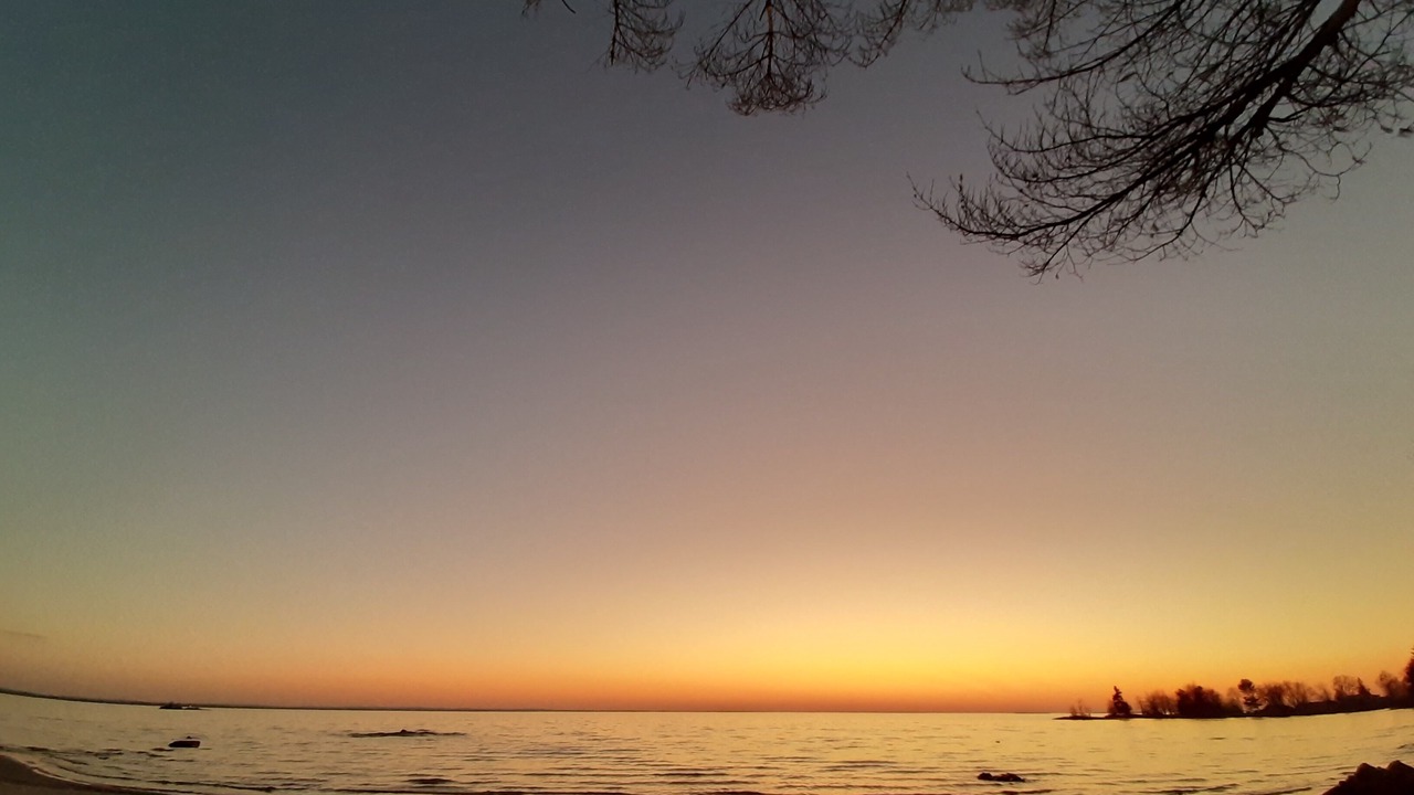 Photo of Others in North Bay
