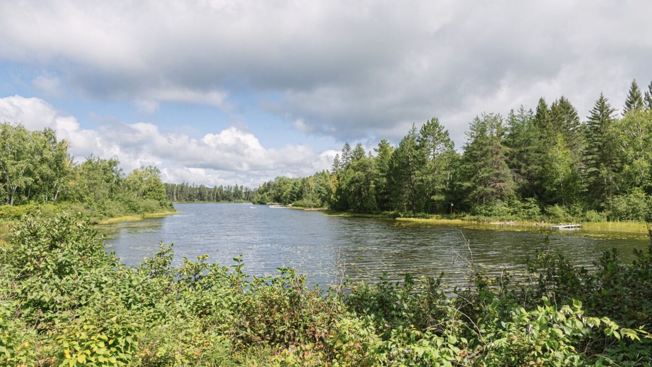 Photo of Others in Timiskaming District