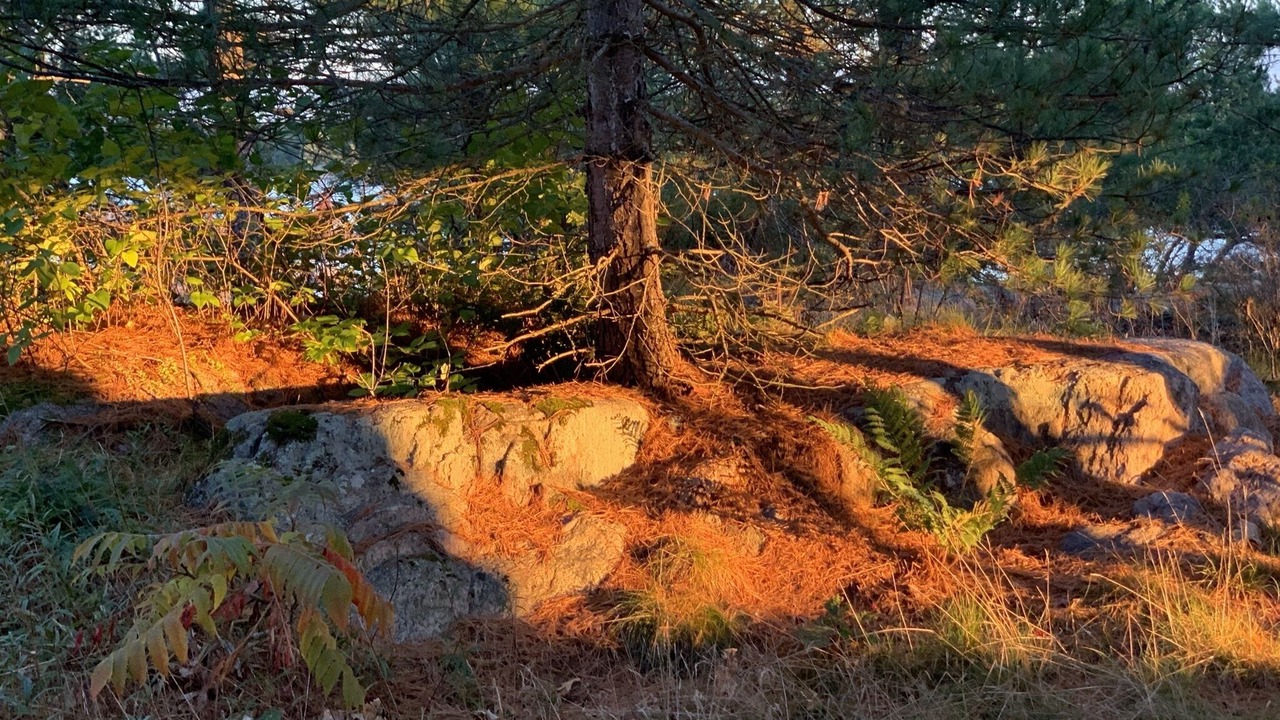 Photo of Outdoor in The Archipelago