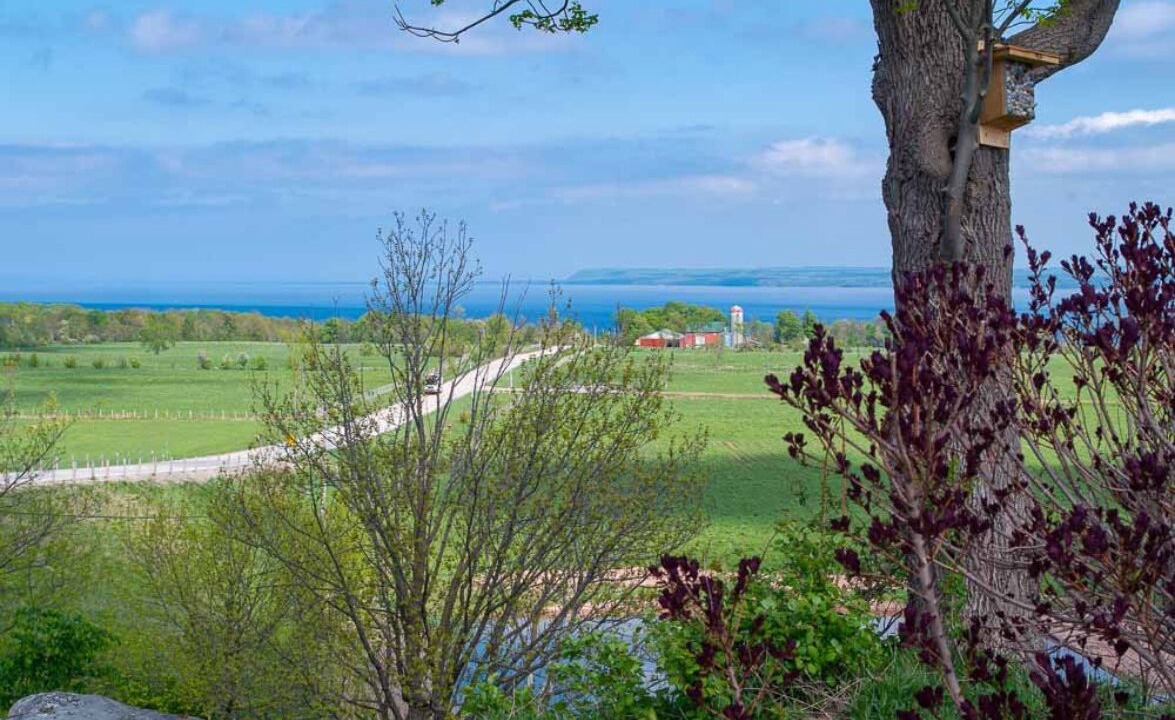 Photo of Others in Georgian Bluffs