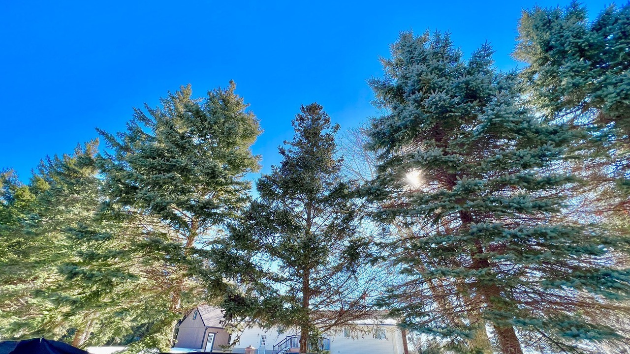 Photo of Outdoor in Collingwood