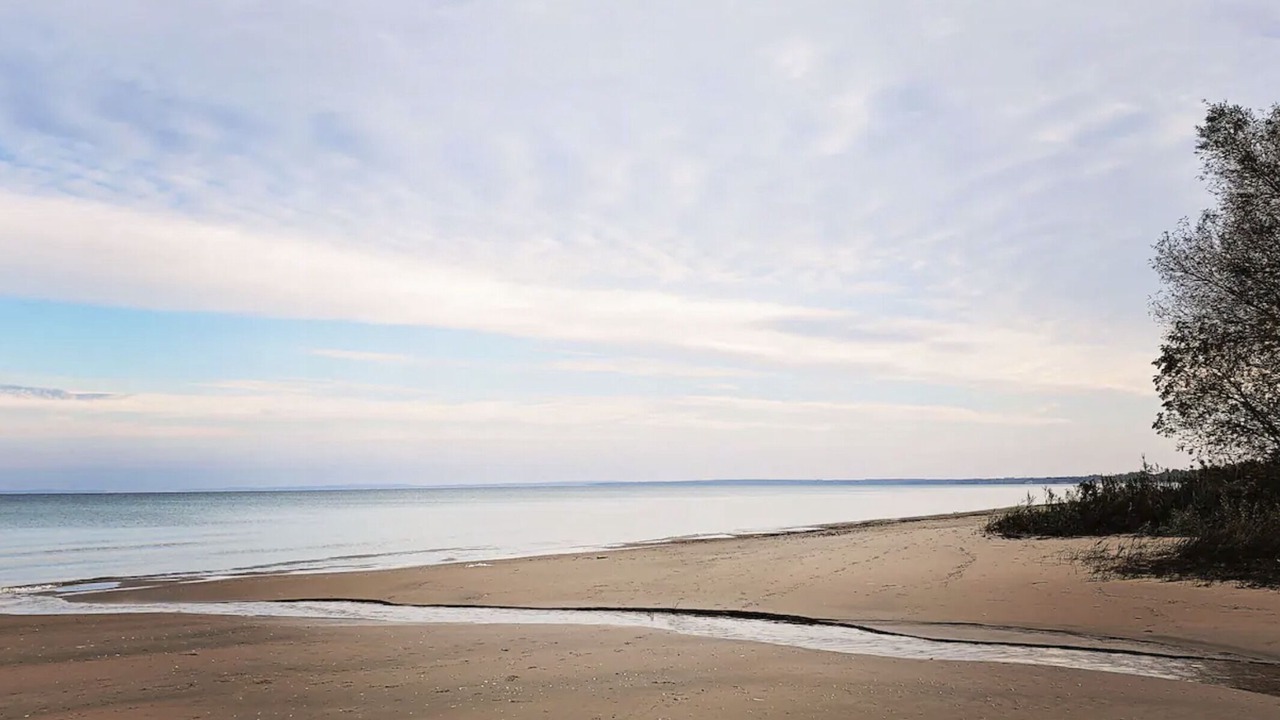 Photo of Others in Wasaga Beach