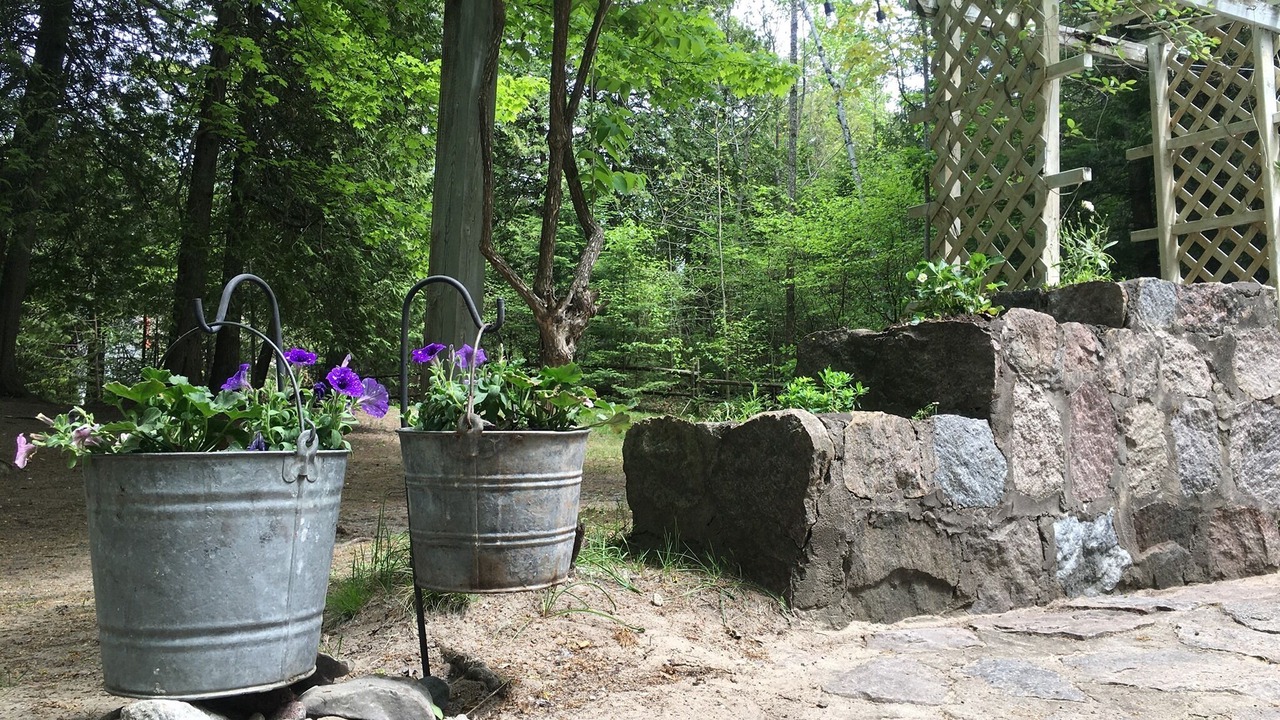 Photo of Others in Saugeen Shores