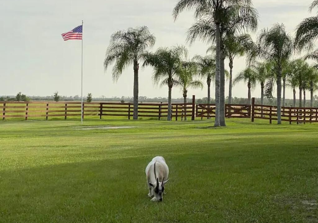 Photo of Others in Lorida