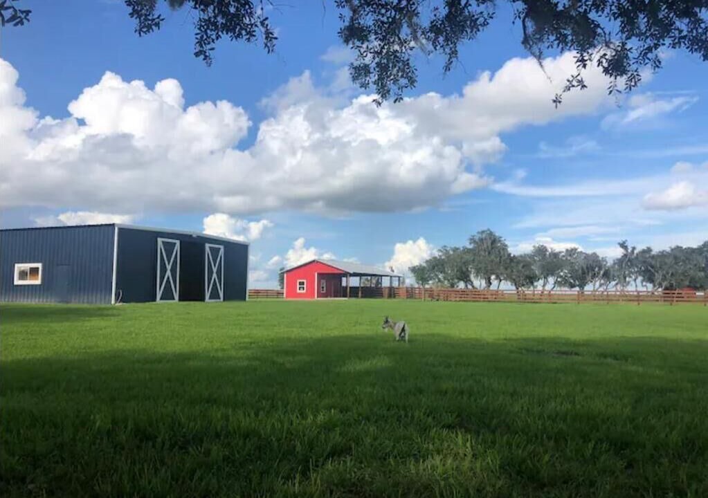 Photo of Outdoor in Lorida