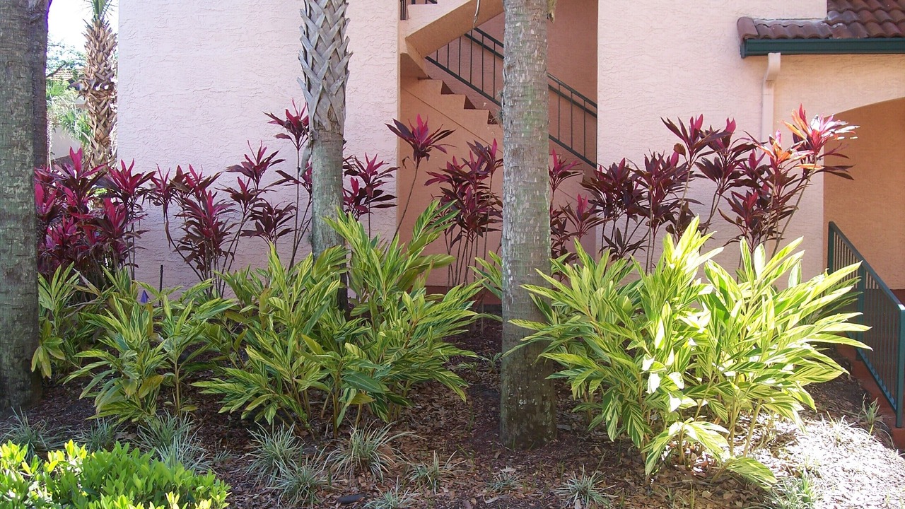Photo of Outdoor in Florida Central Atlantic Coast