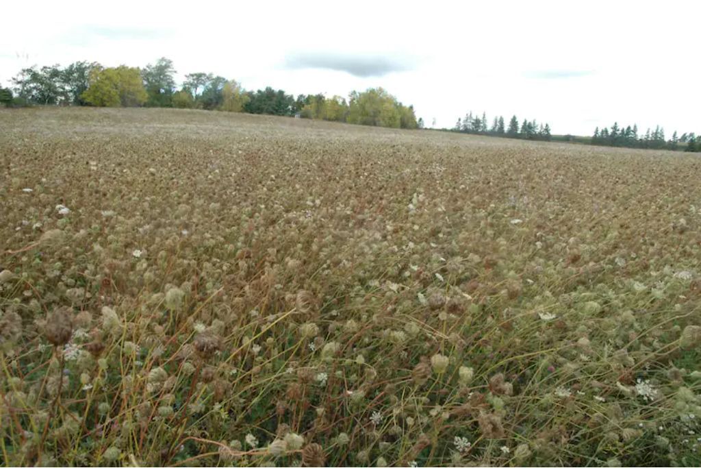 Photo of Others in Creemore
