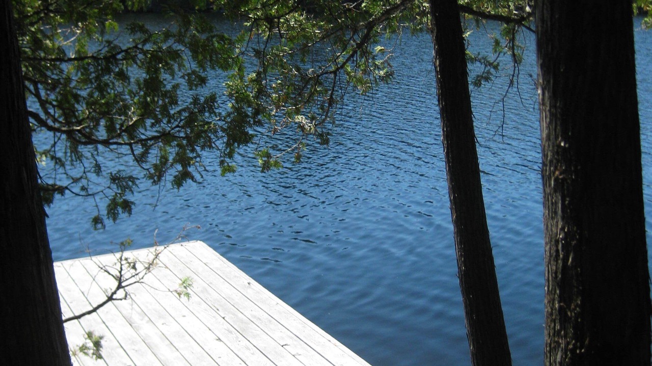 Photo of Others in Ormsby