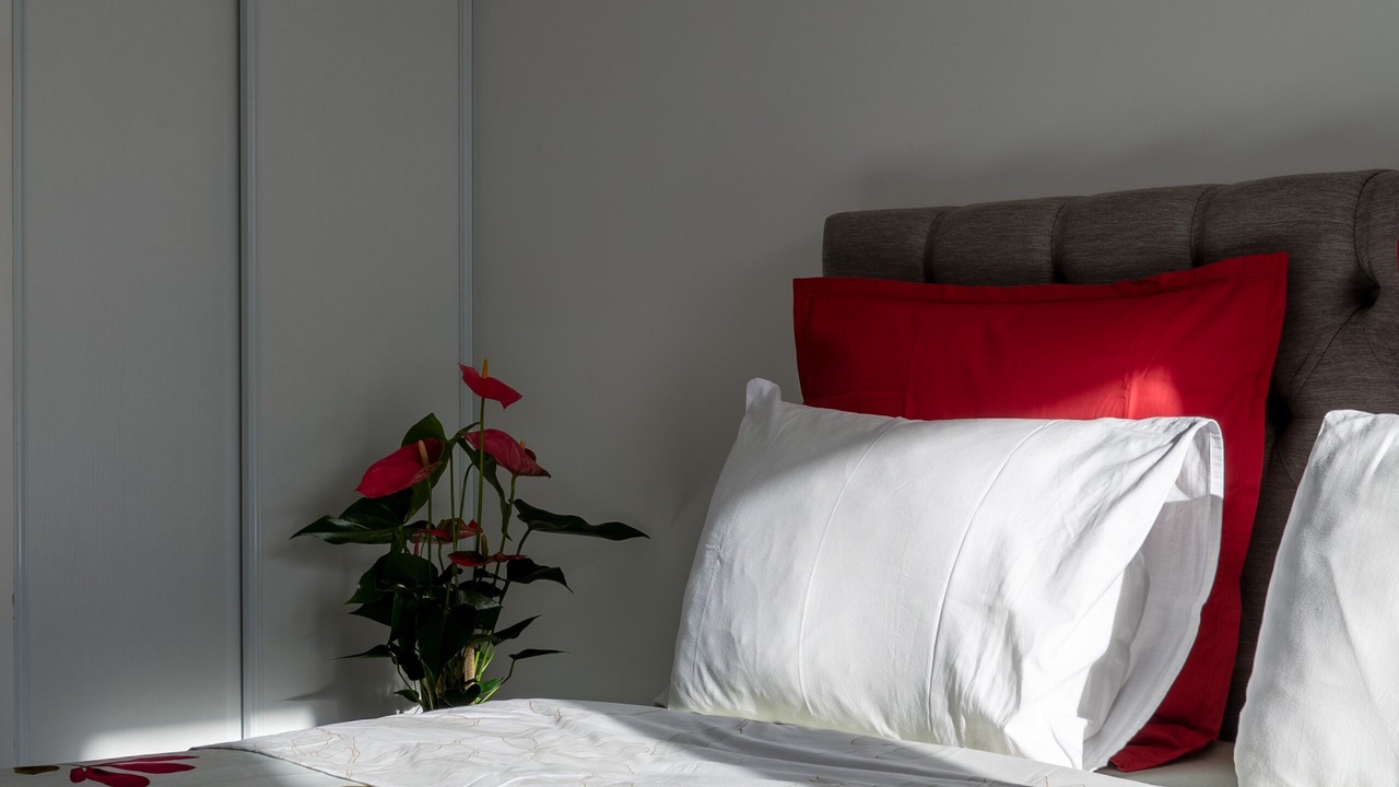 Photo of Bedroom in Vitry-sur-Seine