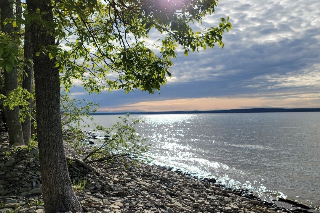 Photo of Others in Meaford