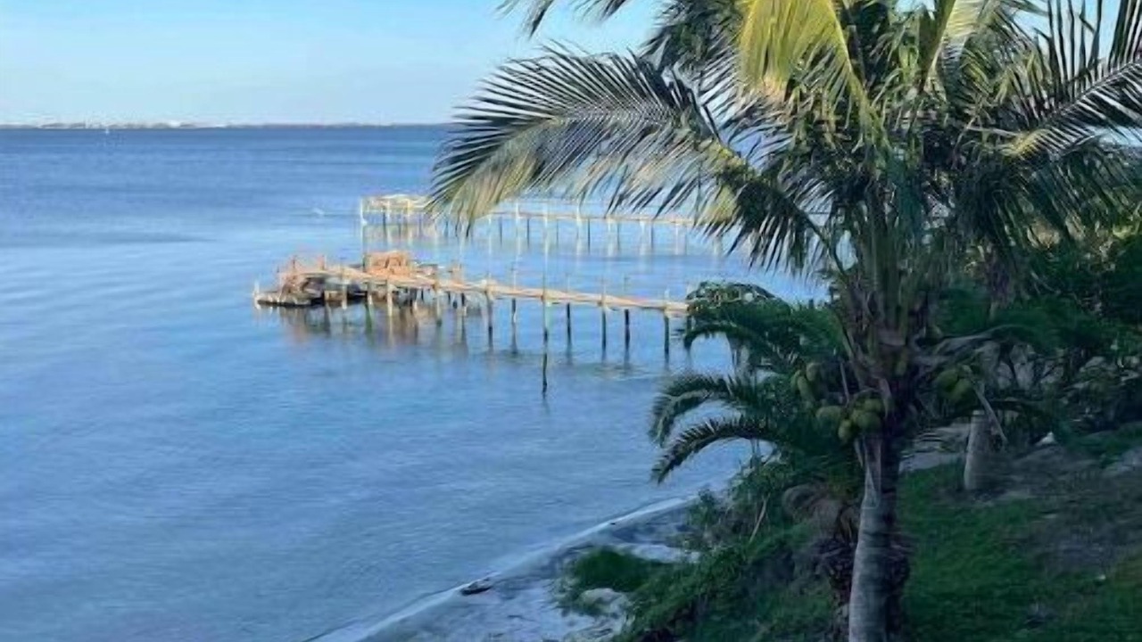 Photo of Others in Palm Bay