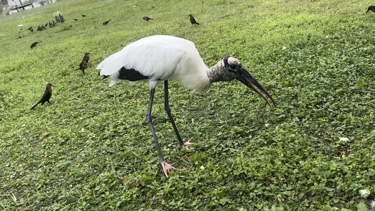 Photo of Outdoor in Lakeland